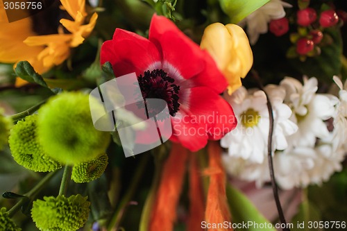 Image of Holiday bouquet made of wild flowers