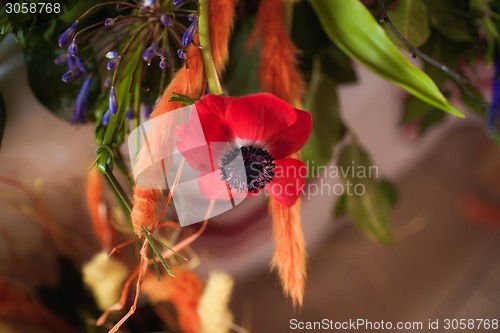 Image of Holiday bouquet made of wild flowers