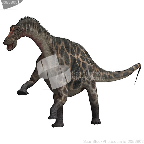 Image of Dinosaur Dicraeosaurus