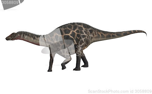 Image of Dinosaur Dicraeosaurus