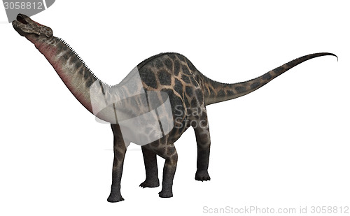 Image of Dinosaur Dicraeosaurus