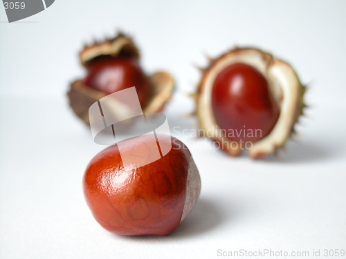 Image of chestnuts