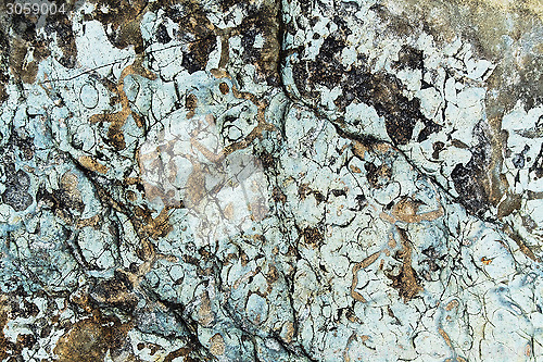 Image of Rock texture