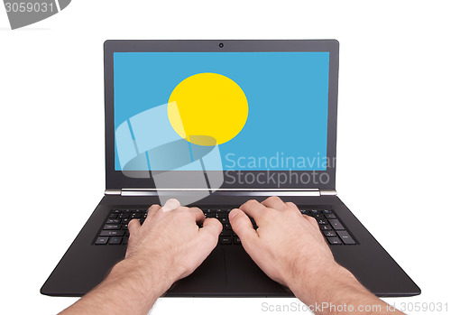 Image of Hands working on laptop, Palau