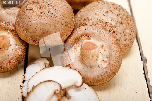 Image of shiitake mushrooms