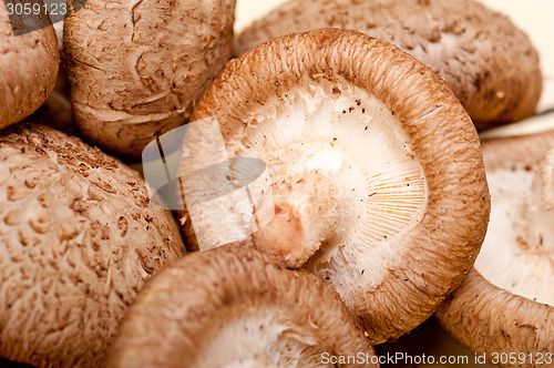 Image of shiitake mushrooms