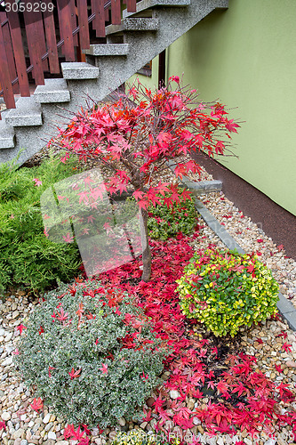 Image of autumn colors composition in home garden