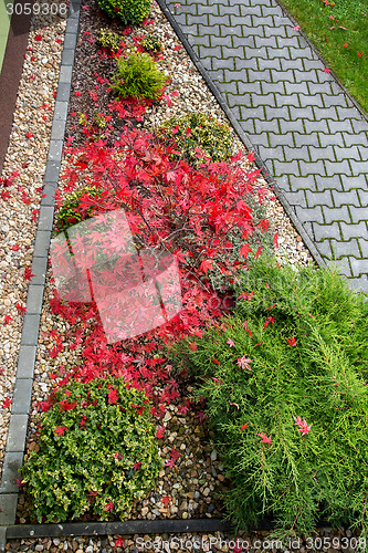 Image of autumn colors composition in home garden