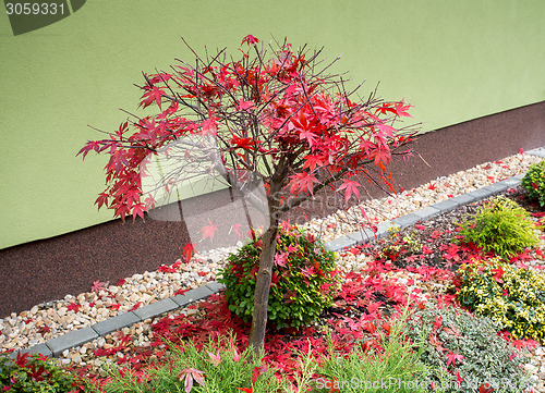 Image of autumn colors composition in home garden