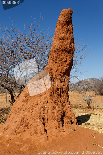 Image of Huge red termite mound in Africa