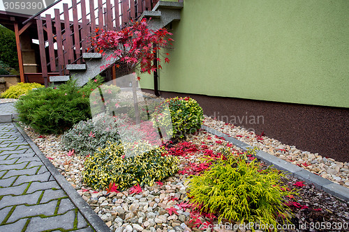 Image of autumn colors composition in home garden