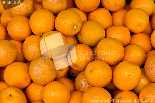 Image of Group of oranges - background