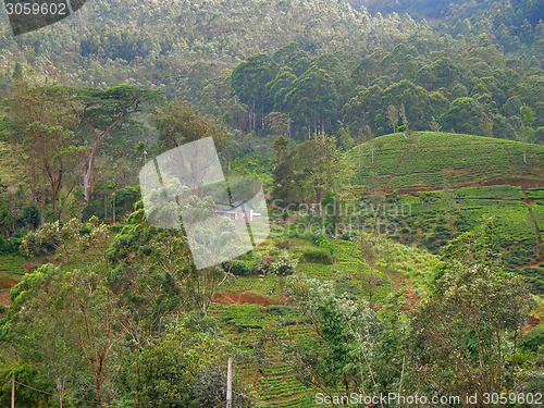 Image of mountain scenery in Sri Lanka