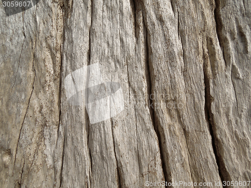 Image of weathered wooden surface