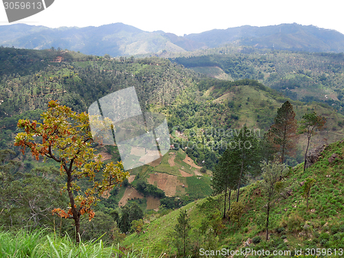 Image of mountain scenery in Sri Lanka