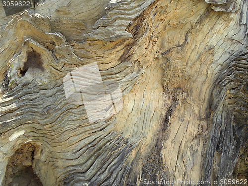 Image of weathered wooden surface