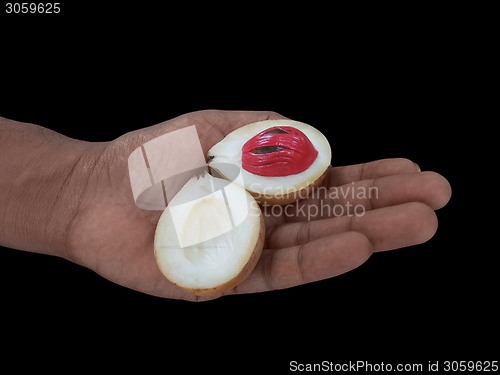 Image of opened nutmeg fruit