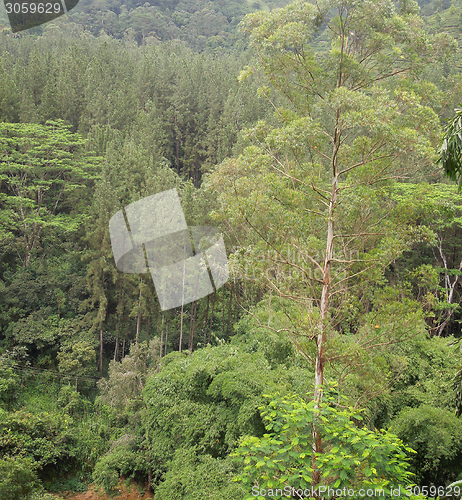 Image of mountain scenery in Sri Lanka