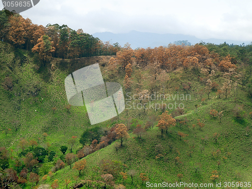 Image of mountain scenery in Sri Lanka