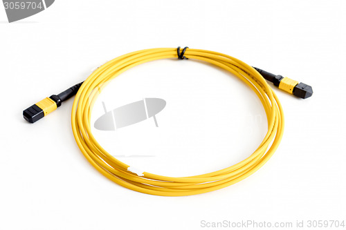 Image of Ribbon fiber optic patchcord with connector MTP