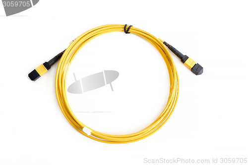 Image of Ribbon fiber optic patchcord with connector MTP