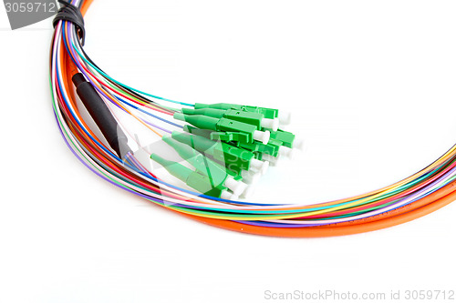 Image of Ribbon fiber optic fun out patchcord with connector MTP