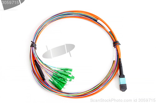 Image of Ribbon fiber optic fun out patchcord with connector MTP