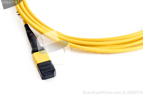 Image of Ribbon fiber optic patchcord with connector MTP