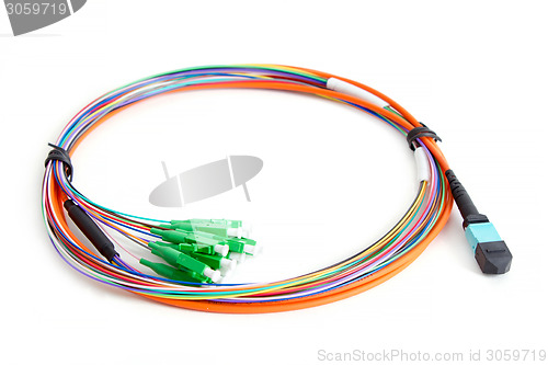 Image of Ribbon fiber optic fun out patchcord with connector MTP