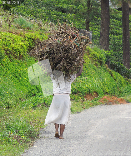 Image of woman carrying brushwood