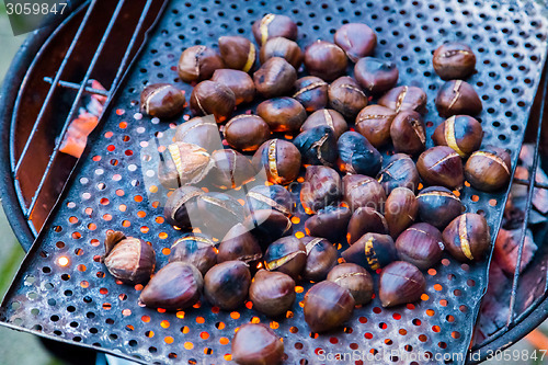 Image of Grilling chestnuts.