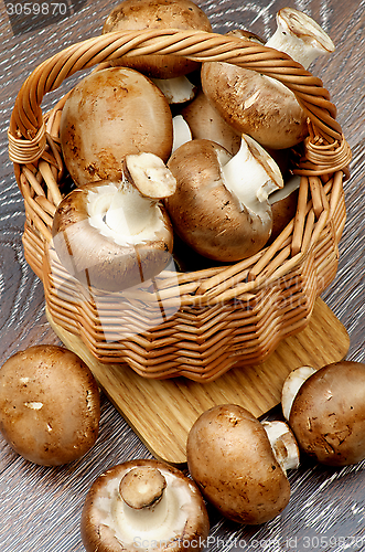 Image of Portabello Mushroom