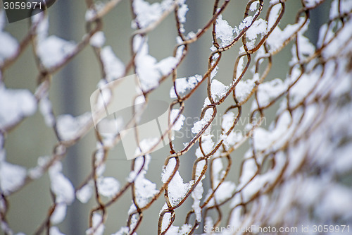 Image of snowhats on a fence