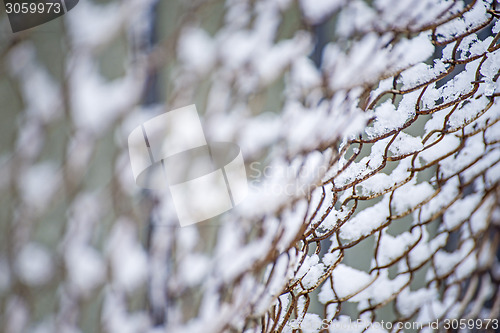 Image of snowhats on a fence