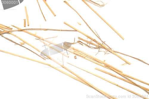 Image of straw