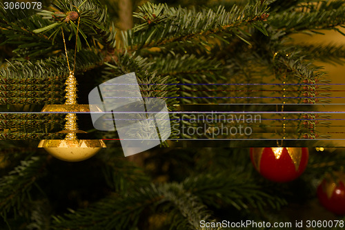 Image of Fine globes hanging at the branches of a christmas tree
