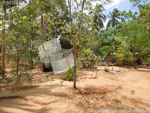 Image of backyard in Sri Lanka