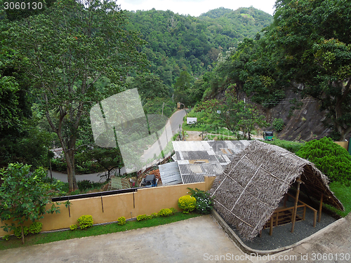 Image of roadside scenery in Sri Lanka