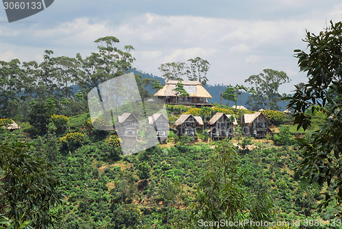 Image of houses in Sri Lanka