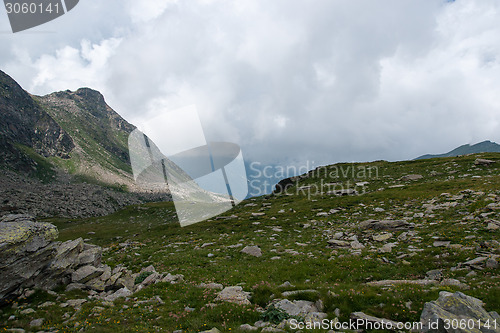 Image of Hiking in Alps