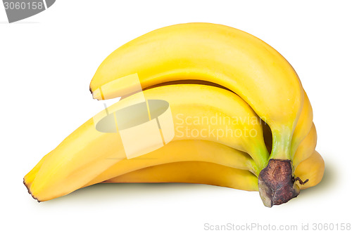 Image of Bunch Of Bananas Rotated
