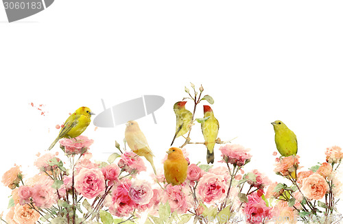 Image of Flowers And Birds