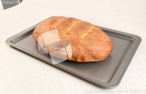 Image of Freshly baked bread with slashed crust 