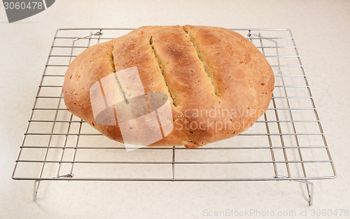 Image of Freshly baked bread cooling after baking