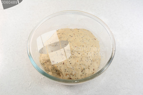 Image of Risen bread dough