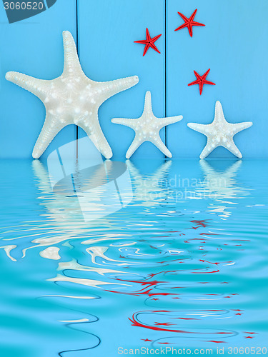 Image of Starfish Creatues