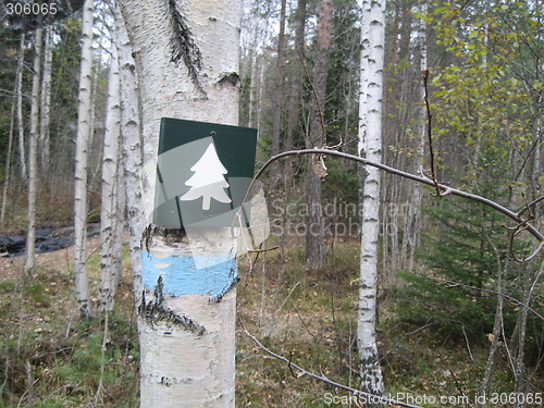 Image of Sign on tree