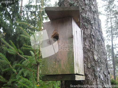 Image of Feeding case for birds