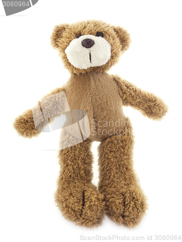 Image of cute teddy bear