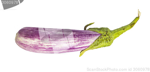 Image of Eggplant